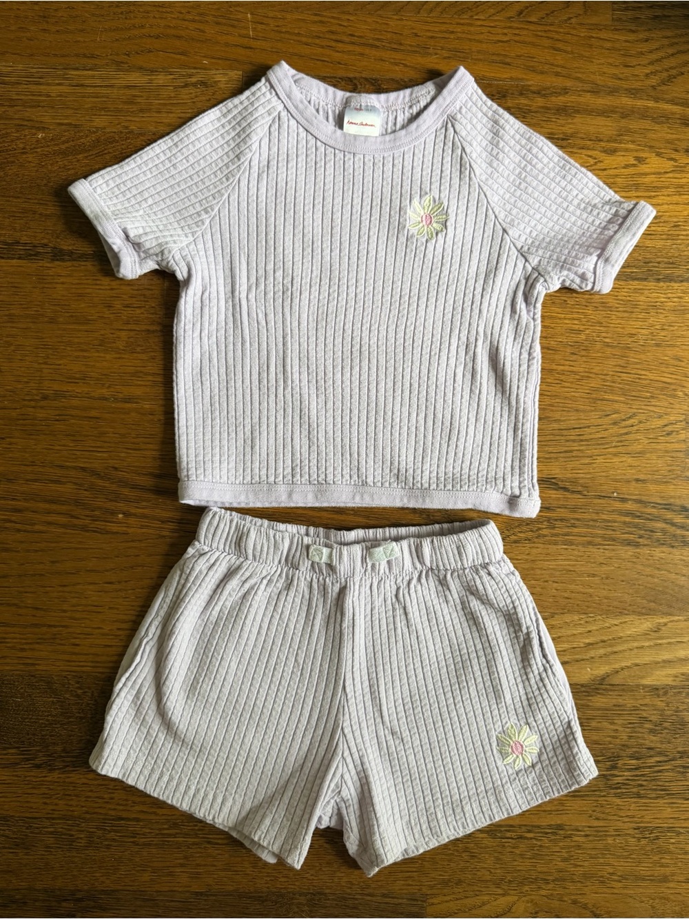 Hanna Andersson Light Lavender Ribbed Puckered Shorts Set with Daisy Embroidery